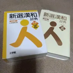 新選漢和辞典