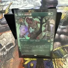 MTG 日本語 花を手入れする者 通常・ボーダーレス・ボーダーレスFOIL 3