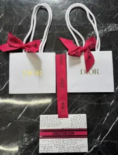 Y*C様 DIOR ショッパー 赤リボン付き dior ショップ袋　ディオール