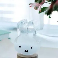 ストームグラス