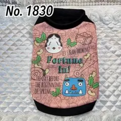 Item thumbnail for item b26456ff-e508-4f03-bea3-9db2f09a8844