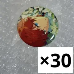 テーマスカウト缶バッジ　一彩