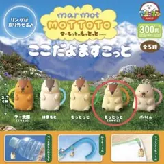 マーモットのもっとっと ここだよますこっと めじるしアクセサリー