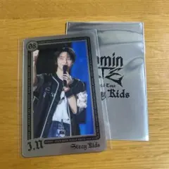 StrayKids アイエン エコパスタジアム 事後販売 ライブフォトカード