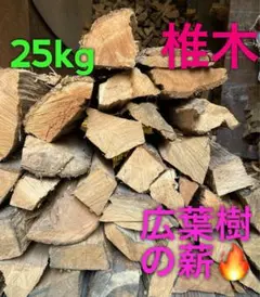 乾燥済み広葉樹（椎木）薪25kg;140サイズの大箱に詰め詰め配送❣️❣️bのサムネイル