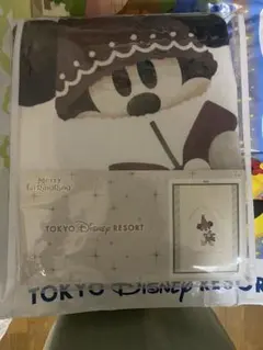 ディズニークリスマス2025 リルリンリン毛布