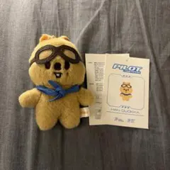 Stray Kids ハンクォッカ SKZOO PLUSH 10CM Ver - メルカリ