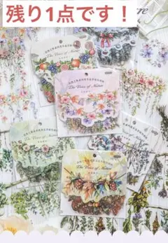 自然の声シリーズ植物デコレーションPETステッカー RT806