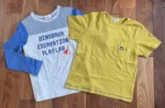 Item thumbnail for item 061ce1ac-e32b-40df-b2a5-2971e14c2022