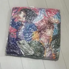 HoneyWorks 福袋 2021 クッション ヒロインたるもの 1%の恋人