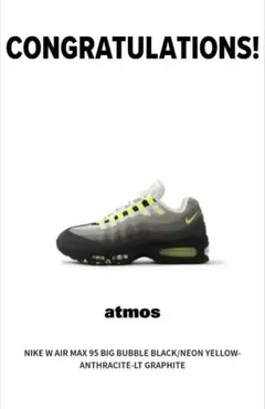 Nike W Air Max 95 BLACK/NEON YELLOW　29.0