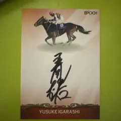 2025年最新】ホースレーシング サインの人気アイテム - メルカリ