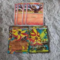 ポケモンカード　メガカエンジシ　進化ライン