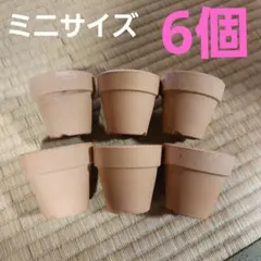 植木鉢　まとめ売り tidy｜プランタブル L | KONCENT Web shop｜アッシュコンセプト公式