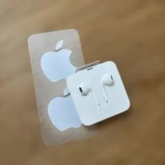 iPhone11Pro付属イヤホン　Lightningコネクタ