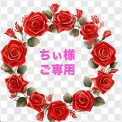 ちぃ様ご専用