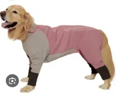 2025年最新】Alphaicon スノーの人気アイテム - メルカリ