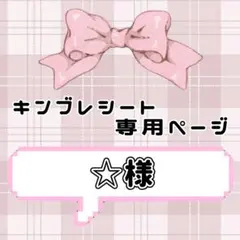 ❤︎ ☆様専用ページ ❤︎ キンブレシート
