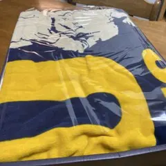 2025年最新】矢沢永吉タオルケットの人気アイテム - メルカリ