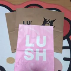 LUSH ショップ袋 4枚セット