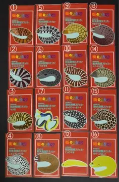 うさこ。様 リクエスト 2点 まとめ商品
