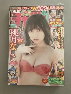 桃月なしこ 月刊少年チャンピオン 直筆サイン入りチェキ 応募券10枚 抽