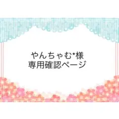 やんちゃむ*様　専用確認ページ　２５１１１１