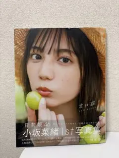 小坂菜緒 1st写真集 君は誰？ 紀伊國屋書店限定カバー　日向坂46