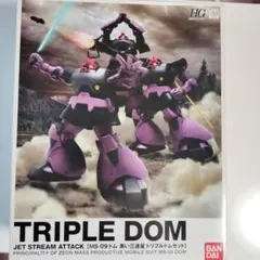 2026年最新】トリプルドムの人気アイテム - メルカリ