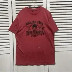 US輸入 Tシャツ 古着 アメカジ レアアメフトターキーボウル スポーツ チーム