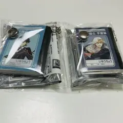 Item thumbnail for item 8bc91312-d5fe-455f-8190-f94ddf29a4de