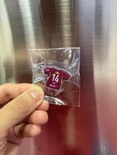 鹿島アントラーズグッズ