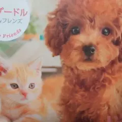 Item thumbnail for item 02dad691-6fd4-4cfd-81ec-57fd760001a5