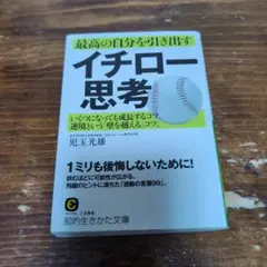 Item thumbnail for item 67f7d7bf-88d6-45a2-8fdb-e362a9671a50