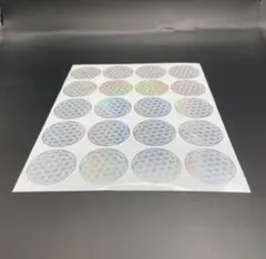 Item thumbnail for item a45d470e-e039-407f-983c-9a808c4adfe3