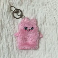 チャンビン アイドル