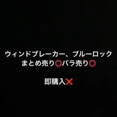 ウィンドブレーカー、ブルーロック