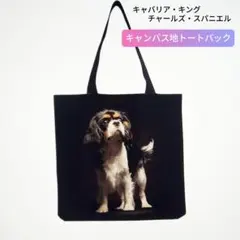 【40×38cm】犬柄トートバック　表裏同柄　 軽量/肩掛　新品