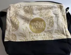 Item thumbnail for item 041e6ed1-7d16-4e13-a3c7-a23be4dadd3a