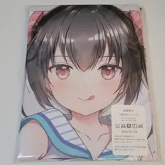 抱き枕カバー
