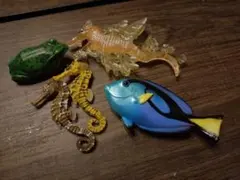 生き物　マグネット　5個