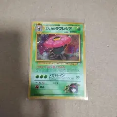 エリカのラフレシア 旧裏
