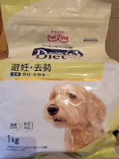 Item thumbnail for item 89a3e7b1-7ada-4ae5-a80f-3b88635af28c