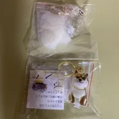犬の毛玉収納キーホルダー　 うちの子のけだまだま　カプセル　柴犬・マルチーズ？