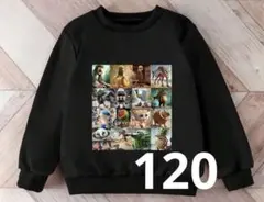 イタリアンブレインロット 120