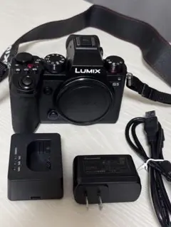 2025年最新】 LUMIX S5 バッテリーの人気アイテム - メルカリ