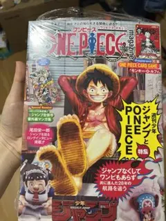 新品未開封】ワンピースマガジン 20号 ルフィプロモ付き　シュリンク有