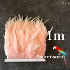 Item thumbnail for item f02449e1-d05f-46dc-a99e-913608a16950