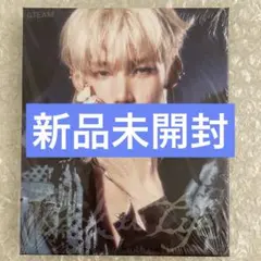 &TEAM Back to life ROAR ジョー JO 未開封