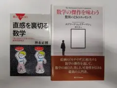 数学教養書2冊セット 直感を裏切る数学 数学の傑作を味わう　廃棄印あり